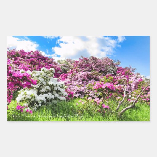 Azalea Viewing [Rectangular Seal] 長方形シール (正面)