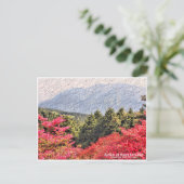 Azaleas at Mount Katsuragi ポストカード (スタンド正面)