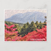 Azaleas at Mount Katsuragi ポストカード (正面)