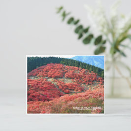 Azaleas at Mount Katsuragi ポストカード
