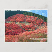 Azaleas at Mount Katsuragi ポストカード (正面)