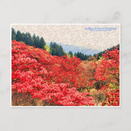 Azaleas at Mount Katsuragi ポストカード