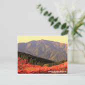 Azaleas at Mount Katsuragi ポストカード (スタンド正面)