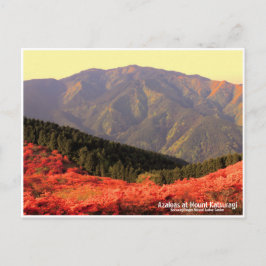 Azaleas at Mount Katsuragi ポストカード