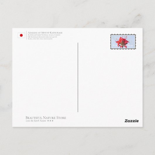Azaleas at Mount Katsuragi ポストカード (裏面)