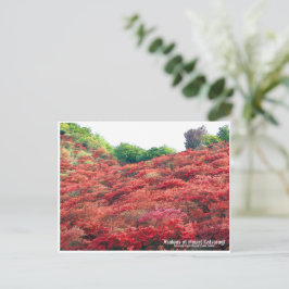 Azaleas at Mount Katsuragi ポストカード