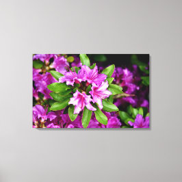 Azeliaのキャンバスのプリント キャンバスプリント