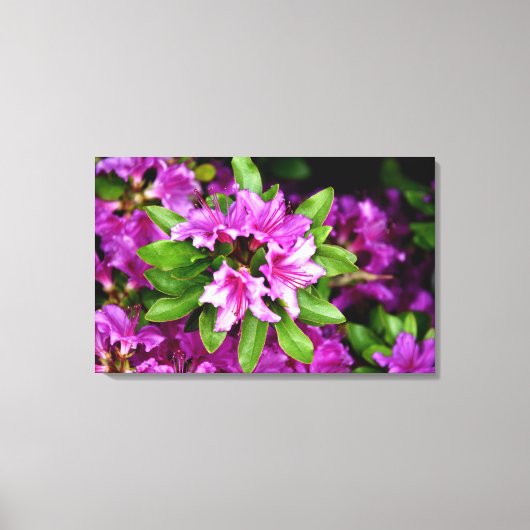 Azeliaのキャンバスのプリント キャンバスプリント (正面)