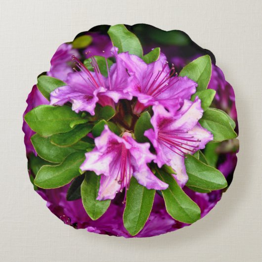 Azeliaの円形の装飾用クッション ラウンドクッション (正面)