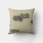 Azoreの島の地図書の地図 クッション (裏面)