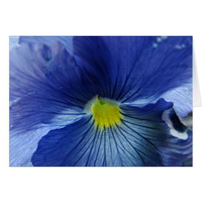 Azul (正面横)