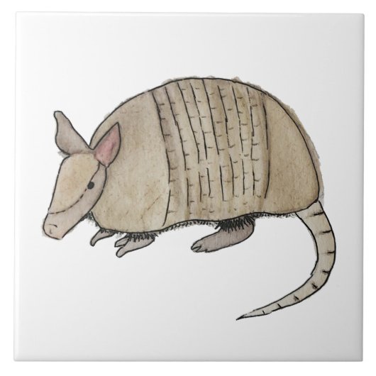 Azulejo de armadillo タイル (正面)