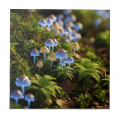 Azulejo de cerámica タイル (正面)