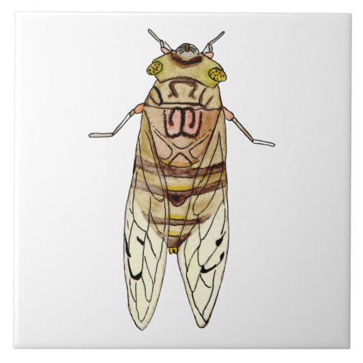 Azulejo de cigarra gigante タイル (正面)