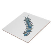 Azulejo de milpies azul タイル (側面)