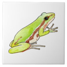 Azulejo de rana arborícola
