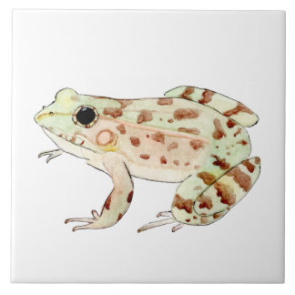 Azulejo de rana leopardo タイル