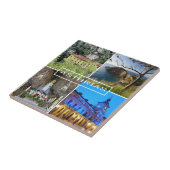 azulejo Principado de Asturias en España - Spain タイル (側面)