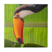 Azulejos design Tucano タイル (正面)