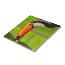 Azulejos design Tucano タイル