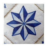 Azulejos, Portuguese Tiles タイル (正面)