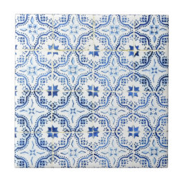 Azulejos, Portuguese Tiles タイル