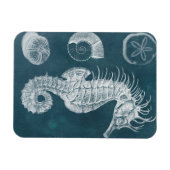 Azureシーホース勉強I マグネット (横)