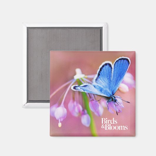 Azureバタフライ マグネット (正面/裏面)