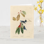 Azure (Cerulean) Warbler, Audubon Birds of America カード (黄色い花)