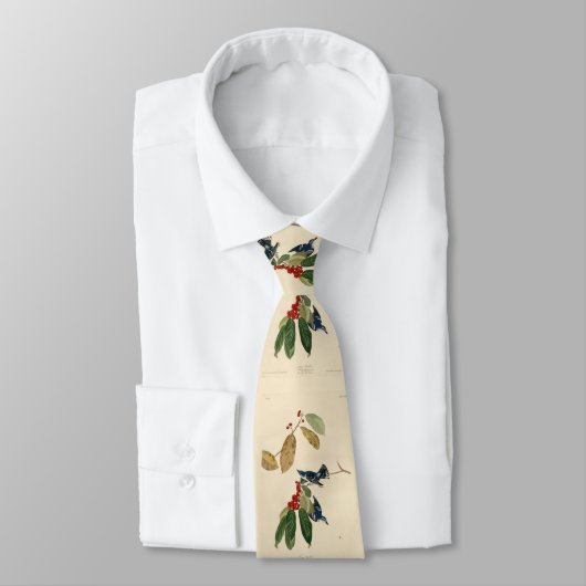 Azure (Cerulean) Warbler, Audubon Birds of America ネクタイ (タイ)