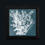 Azure Coral I ギフトボックス<br><div class="desc">海洋生物</div>
