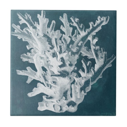 Azure Coral I タイル (正面)