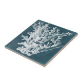 Azure Coral I タイル (側面)