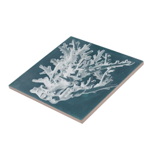 Azure Coral I タイル (側面)