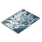 Azure Coral I ノートブック (左側)