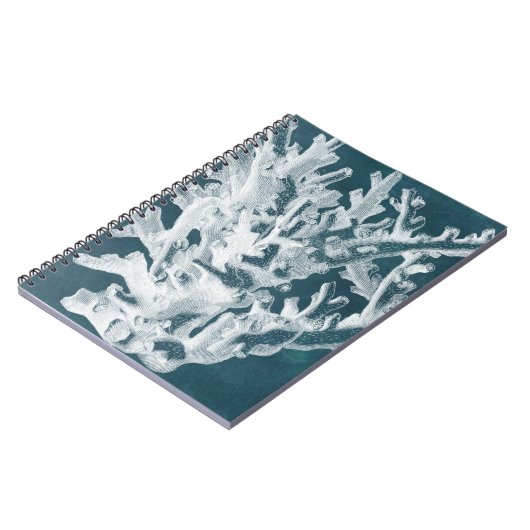 Azure Coral I ノートブック (左側)