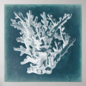 Azure Coral I ポスター (正面)