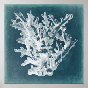 Azure Coral I ポスター