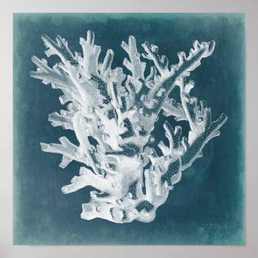 Azure Coral I ポスター (正面)