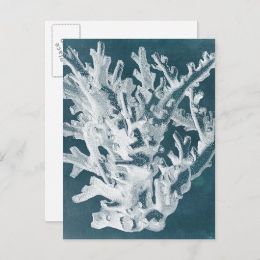 Azure Coral I ポストカード (正面/裏面)