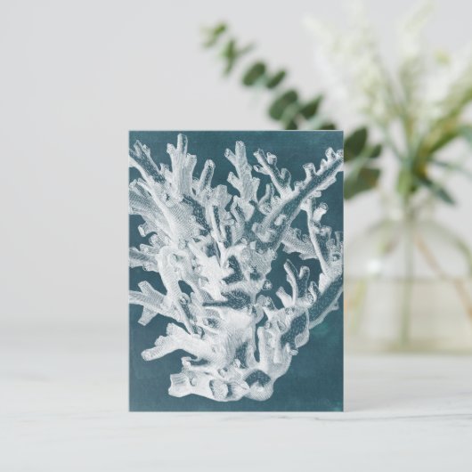 Azure Coral I ポストカード (スタンド正面)