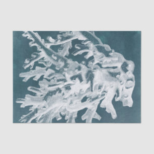 Azure Coral I 薄葉紙