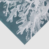 Azure Coral I 薄葉紙 (詳細)