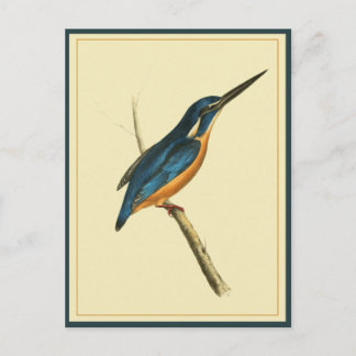 Azure Kingfisher ポストカード