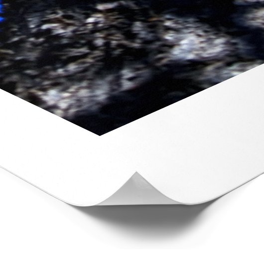 Azure Skyに対するChinaberry Tree ポスター (角)