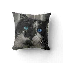 Azure Soul 黒猫の青い瞳のスロー枕