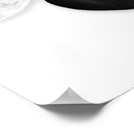 BとBBによるバランス ポスター (角)