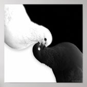 BとBBによるバランス ポスター (正面)