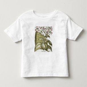 Bによる「Hortus Eystettensis」からのタバコ植物、 トドラーTシャツ