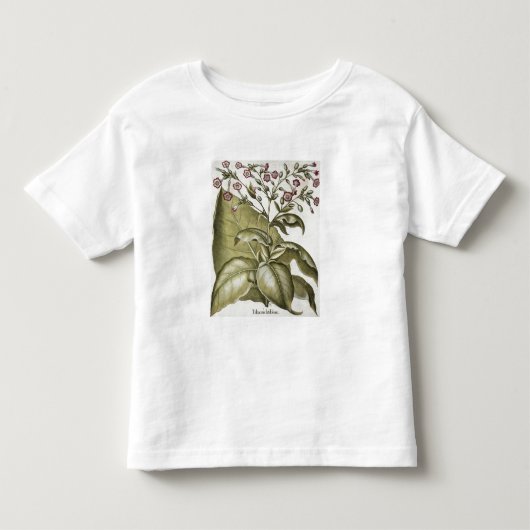 Bによる「Hortus Eystettensis」からのタバコ植物、 トドラーTシャツ (正面)